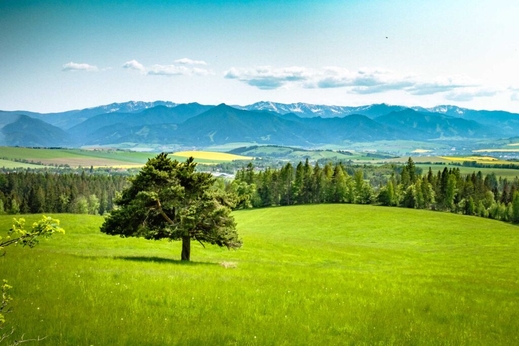 Pod Západnými Tatrami