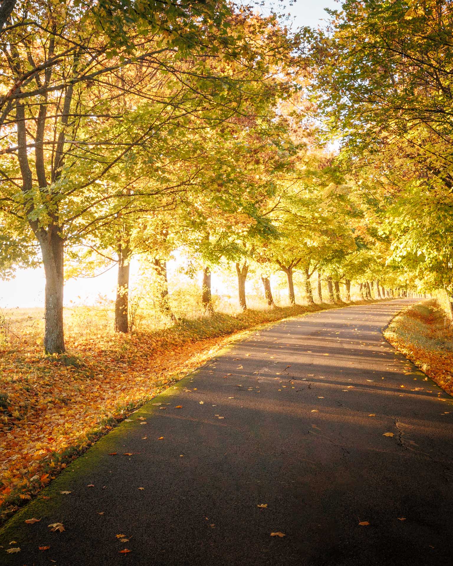 Liptov Haj Nicovo Tri Vody