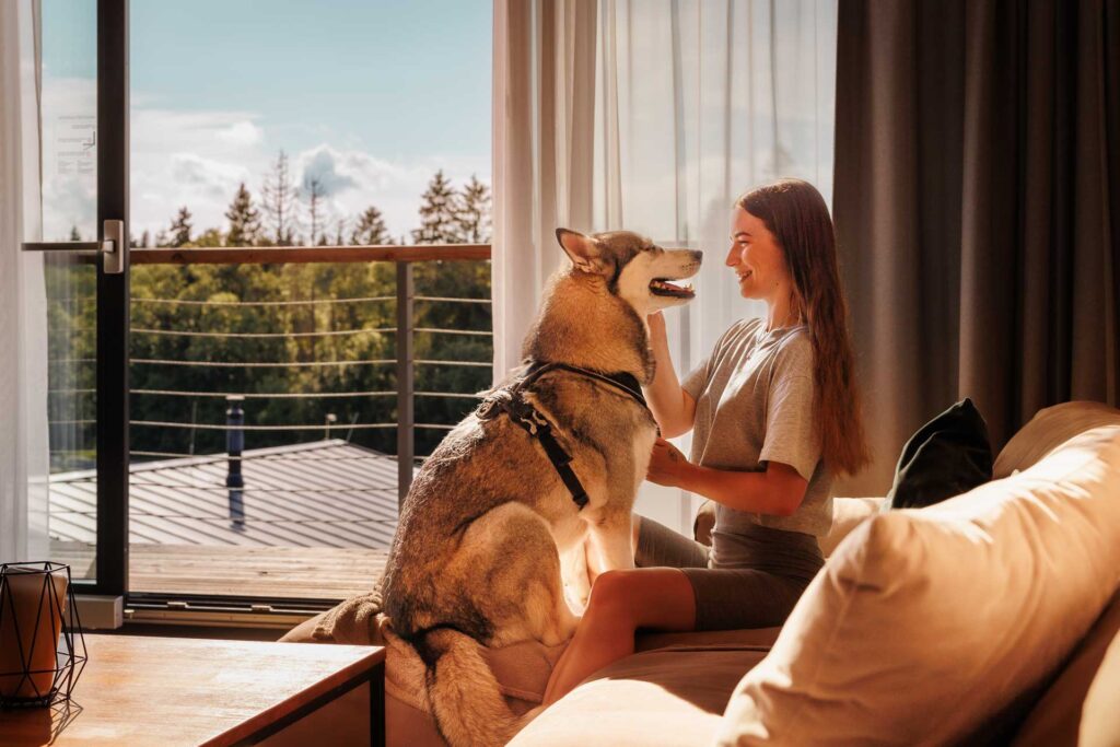 Apartment 6+premium/ pet friendly