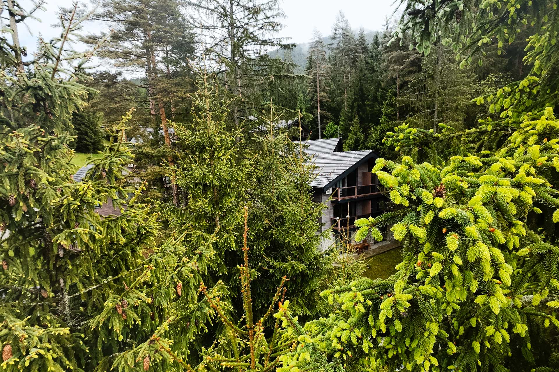 Apartment Smrekovica Štvrta Voda